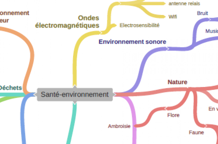 carte mentale santé environnement