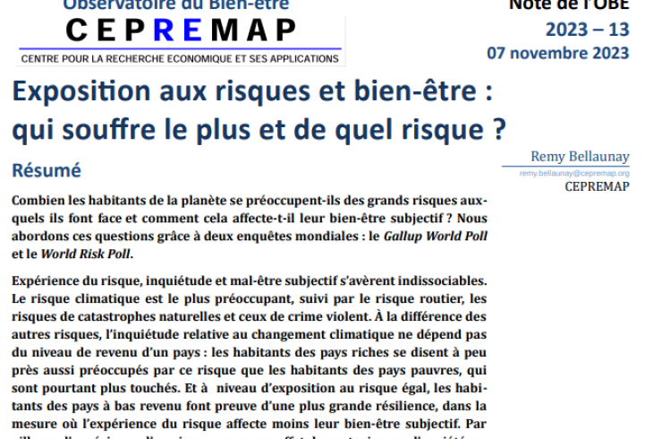 Exposition aux risques et bien-être : Qui souffre le plus et de quel risque ?