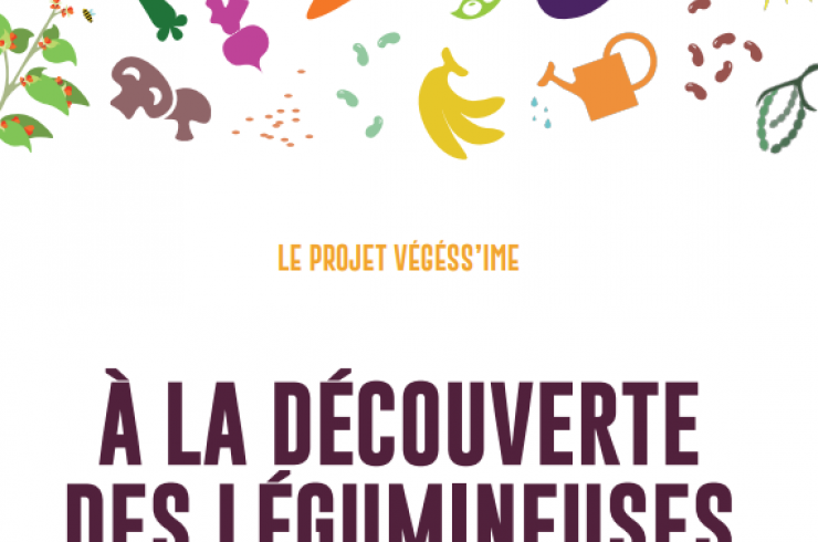 Le projet végéss'IME : A la découverte des légumineuses