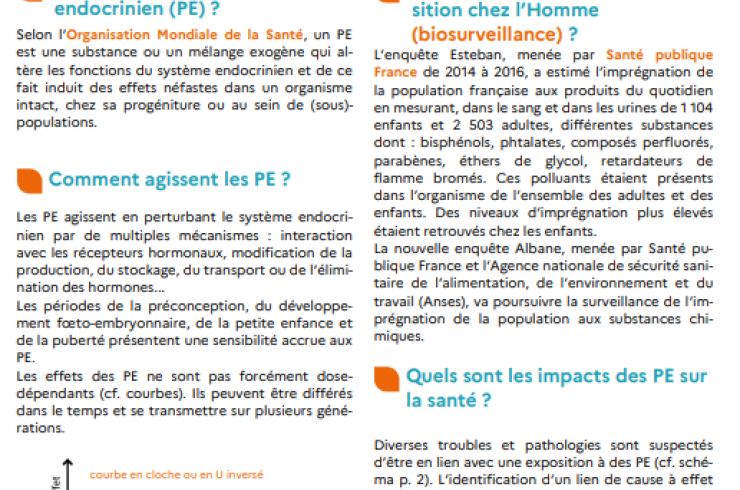 Mieux comprendre les perturbateurs endocriniens