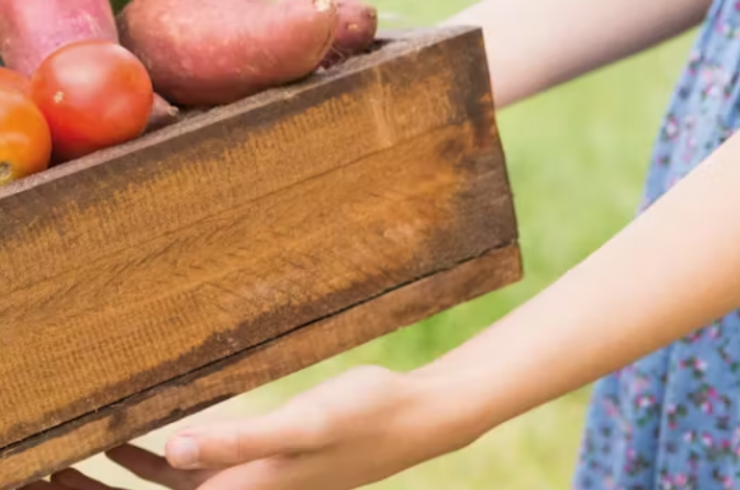 Alimentation saine et durable : des verrous systémiques mais des solutions locales