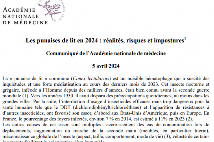 Les punaises de lit en 2024 : réalités, risques et impostures