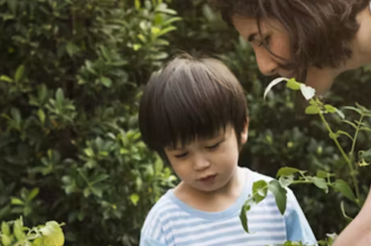 Potager, floral ou aromatique : Le jardin scolaire gagne du terrain