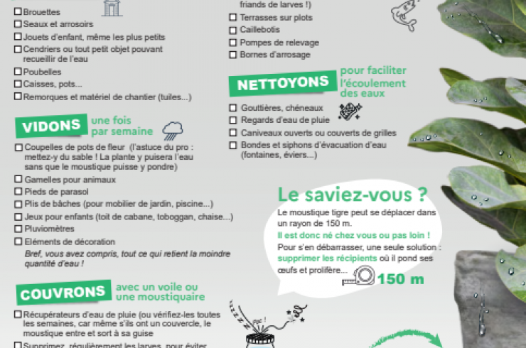 La liste des bons gestes : Luttons contre le moustique tigre
