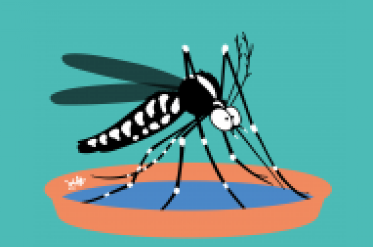 AgirMoustique