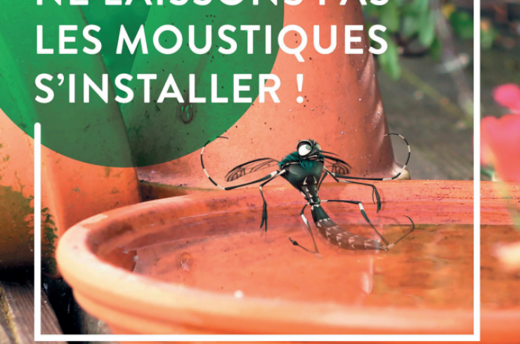 Ne laissons pas les moustiques s'installer