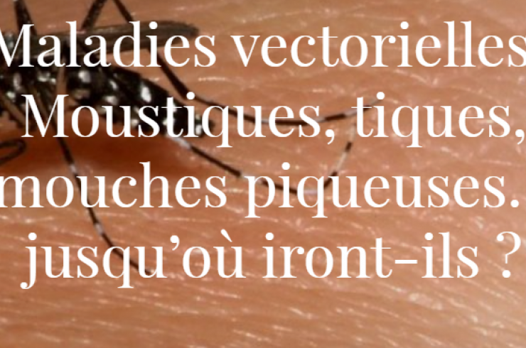 Maladies vectorielles : Moustiques, tiques, mouches piqueuses... jusqu'où iront-ils ?