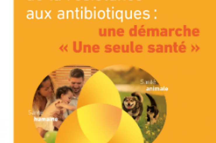 Prévention de la résistance aux antibiotiques : Une démarche "Une seule santé"