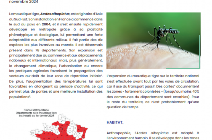 Les moustiques vecteurs de maladies : Focus sur le moustique tigre