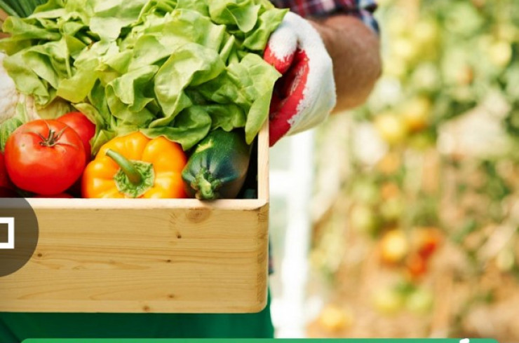 Alimentation saine et durable