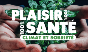 climat et santé