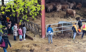 Visite à la ferme avec les élèves 1