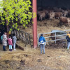 Visite à la ferme avec les élèves 1